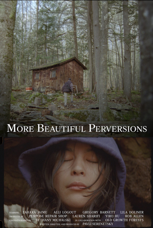 More Beautiful Perversions (2026) poster