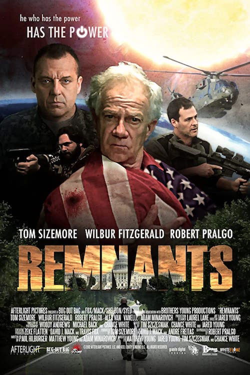 Remnants (2013) poster