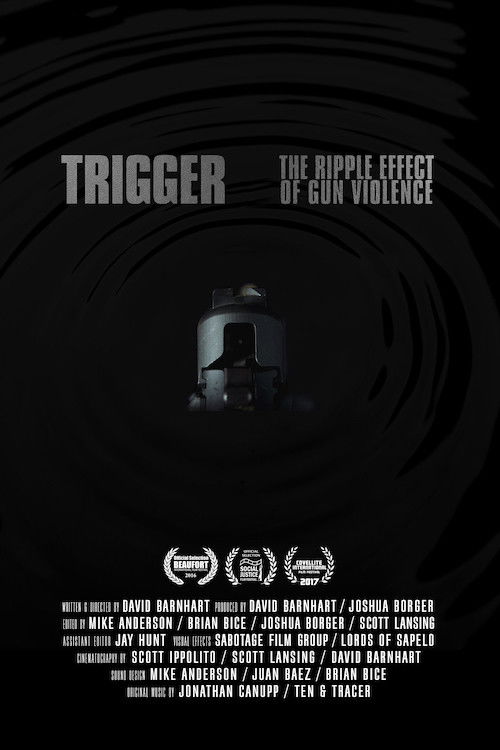 Trigger: The Ripple Effect of Gun Violence (2013) poster