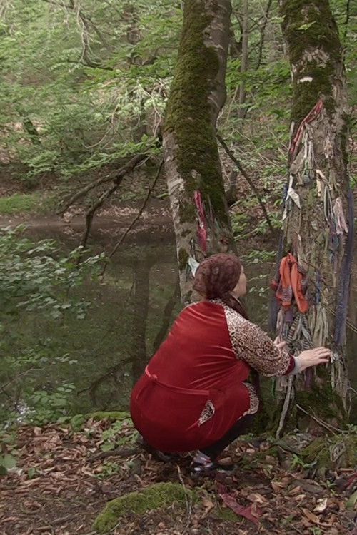 They Whisper But Sometimes Scream (2020) poster