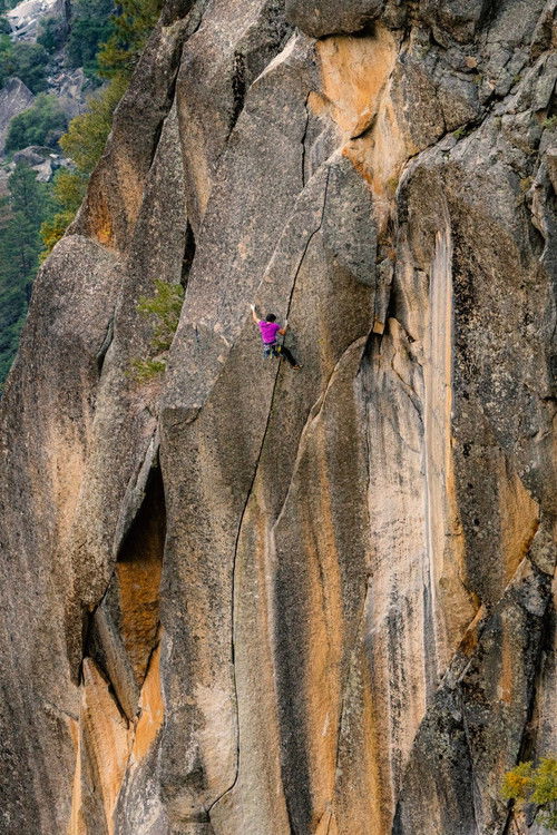 The Traditionalist - Chapter One (2024) poster