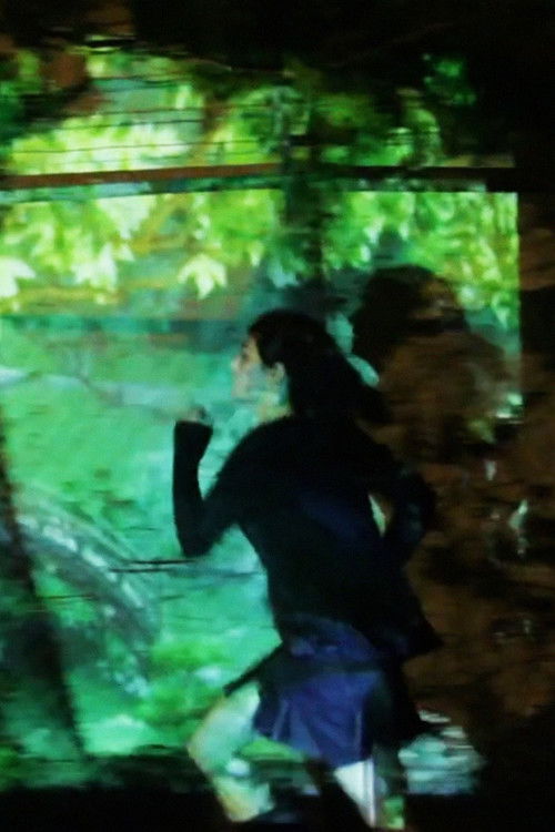 Scenic Jogging (2010) poster