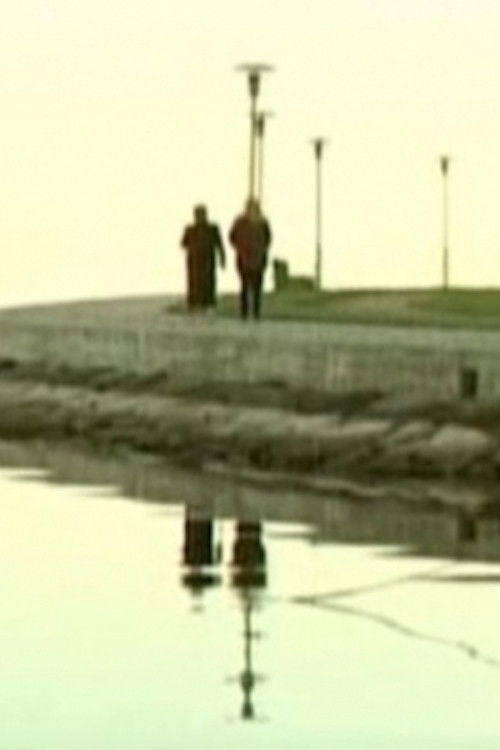 Widow’s Coast poster