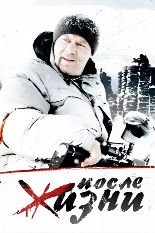 После жизни (2008) poster