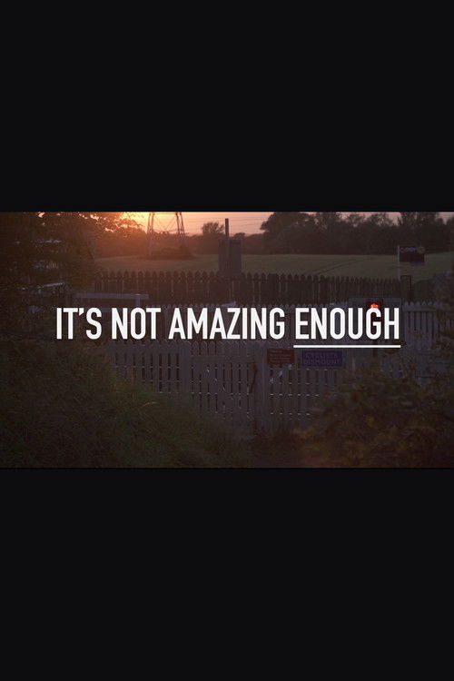 It's Not Amazing Enough (2018) poster