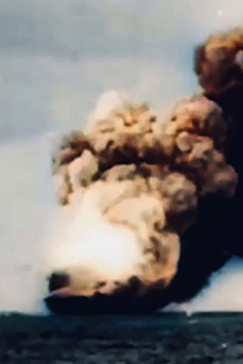 Spirit Film (2021) poster