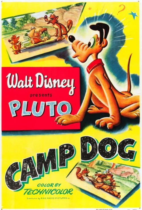 Camp Dog (1950) poster