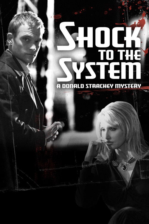 Shock to the System: A Donald Strachey Mystery (2006) poster