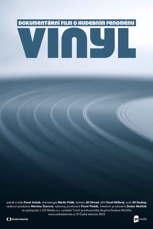 Vinyl (2023) poster