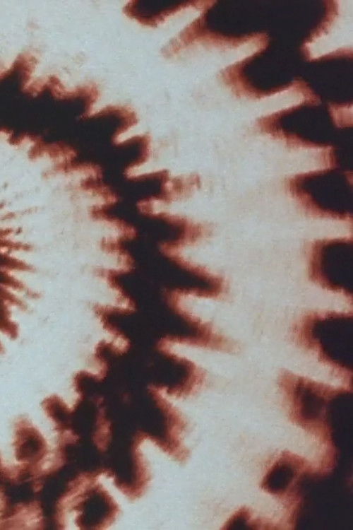 The Glowing Woman (2007) poster