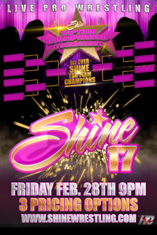 SHINE 17 (2014) poster