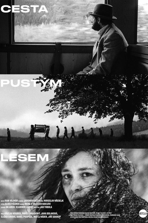 The Way Through the Bleak Woods (1997) poster