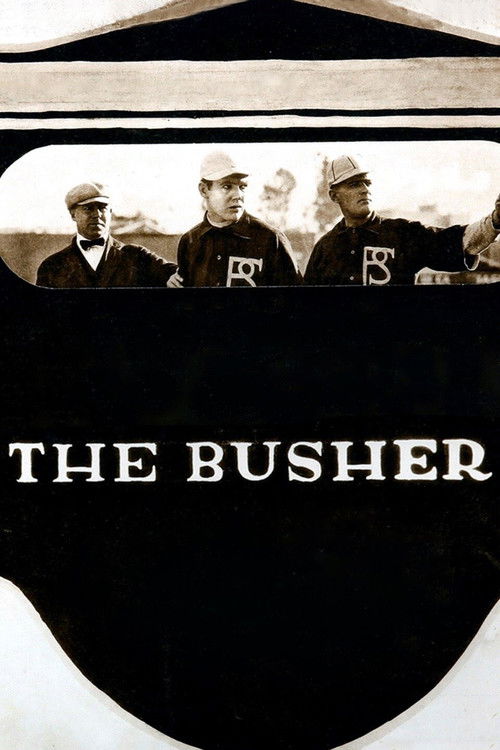 The Busher (1919) poster