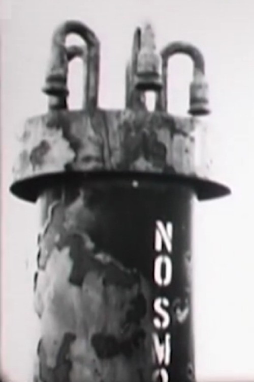 Barge Dirge (2010) poster