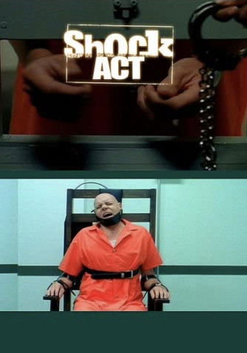 Shock Act (2004) poster
