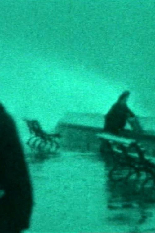 The Maelstrom: A Family Chronicle (1997) poster