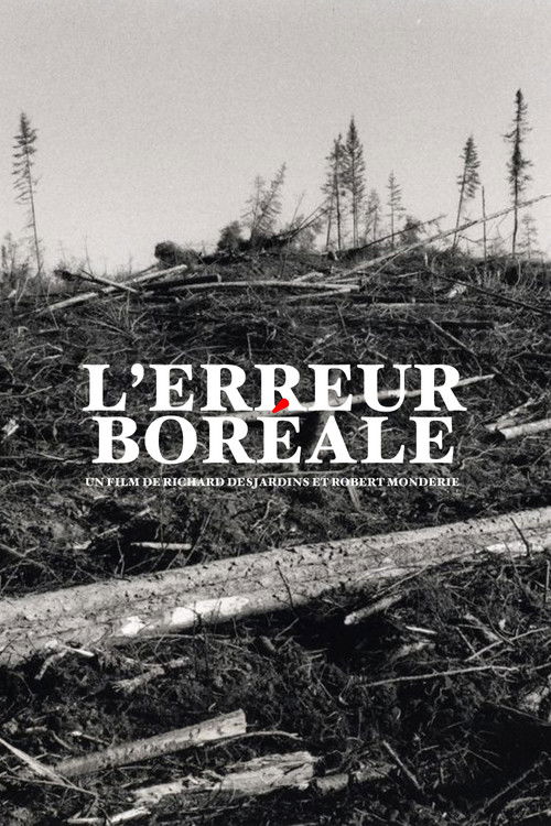 L'erreur boréale (1999) poster