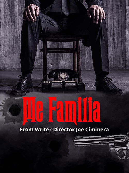Me Familia (2017) poster