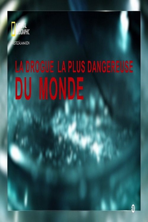 Worlds Most Dangerous Drug (2006) poster