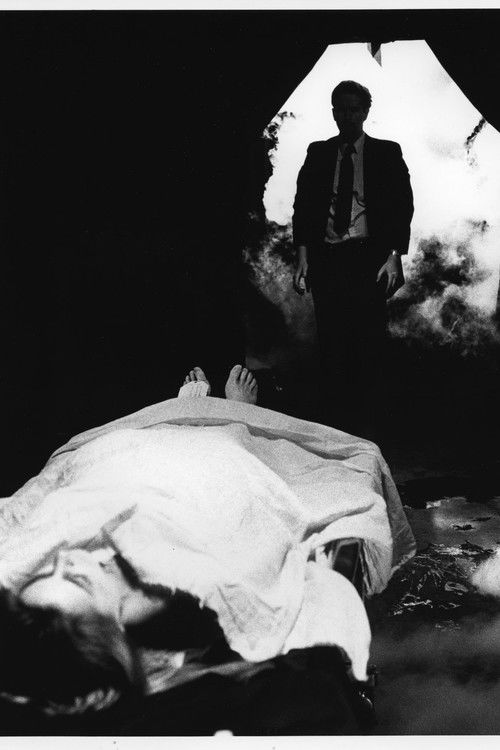 She's So Cold (1995) poster