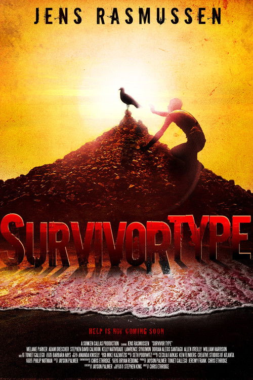 Survivor Type (2011) poster