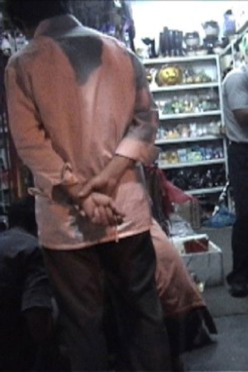 When the Cricket Sings (2007) poster