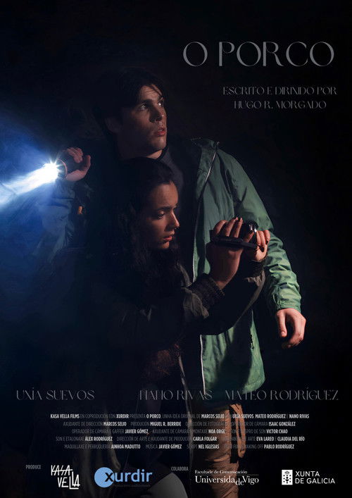 O porco (2025) poster