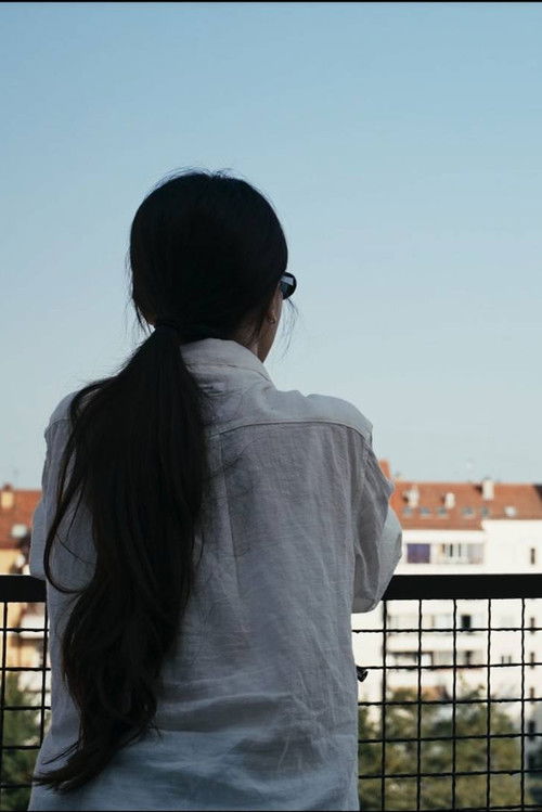 The Observer's Journal (2025) poster