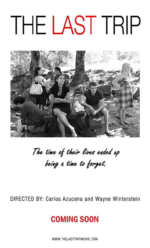 The Last Trip (2015) poster