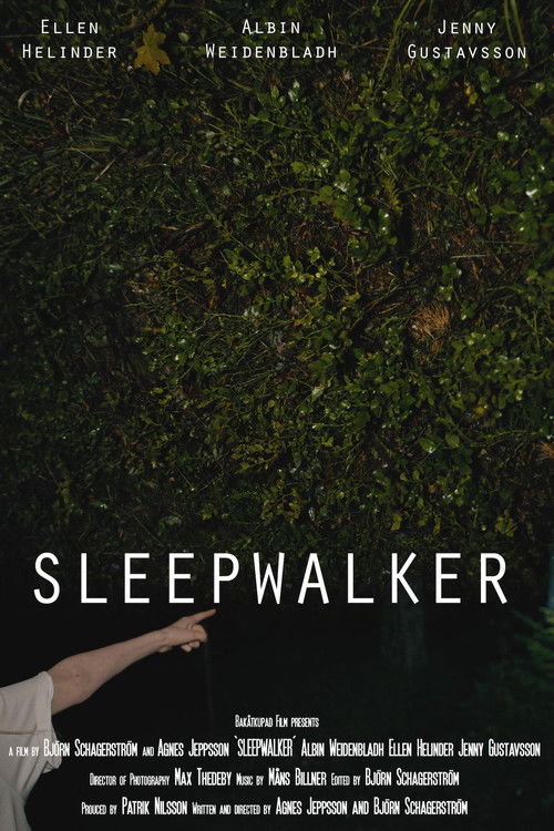 Sleepwalker (2019) poster