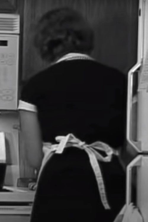 Good Wife's Guide Training Video (2010) poster