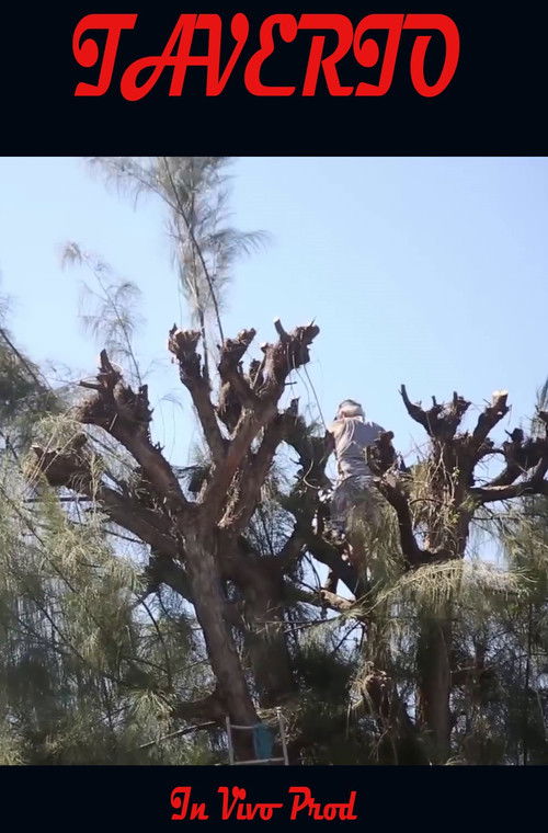 Taverio (2019) poster