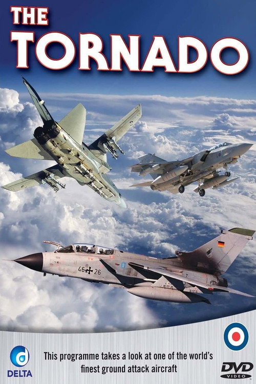 The Panavia Tornado (2010) poster