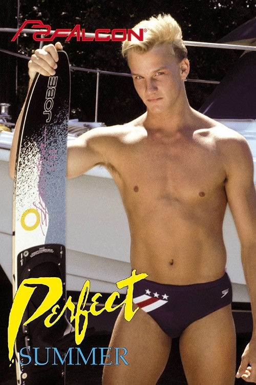 Perfect Summer (1988) poster