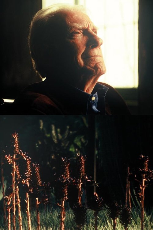 Providence (2018) poster