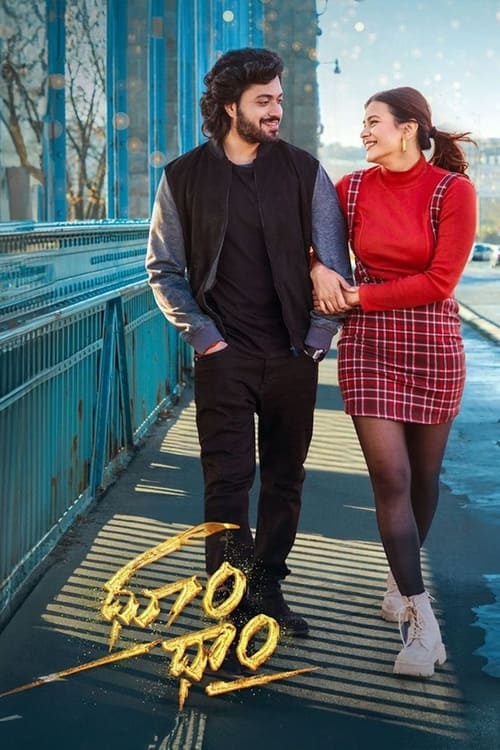 Dhoom Dhaam (2024) poster