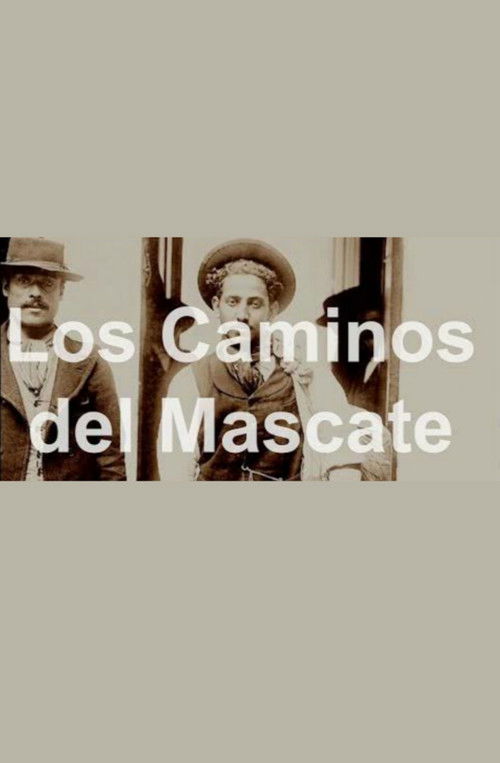 Los Caminos del Mascate (2012) poster