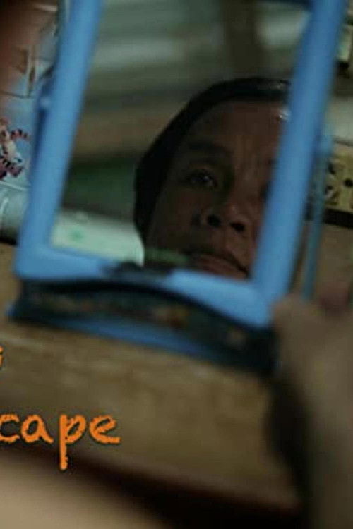 Ladyboys, Another Landscape (2017) poster