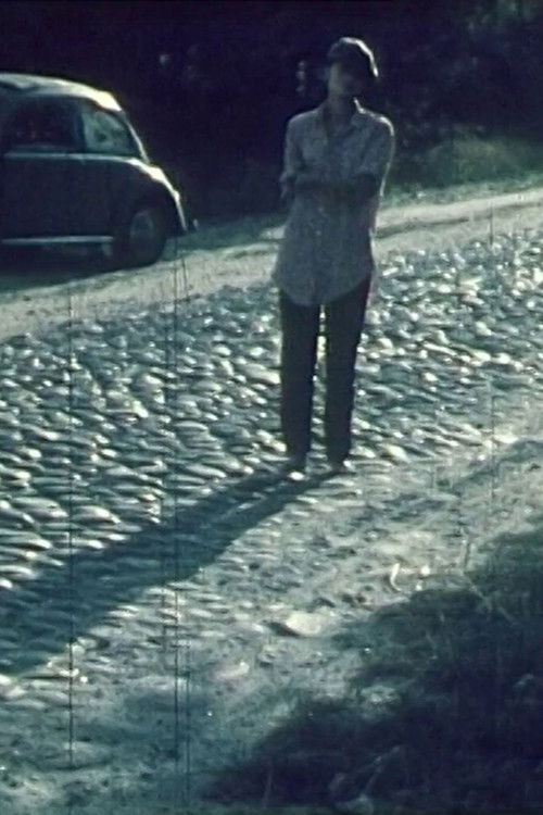 Percy McPhee - Agent des Grauens (6. + 7. Folge) (1970) poster