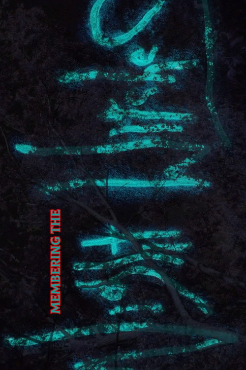 Membering the Night Witches (2020) poster