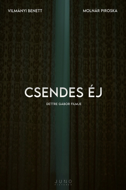 Csendes éj (2024) poster