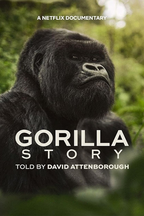 David Attenborough: Bir Goril Hikâyesi (2026) poster