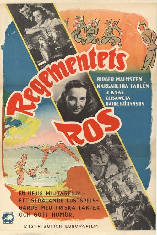 Regementets ros (1950) poster