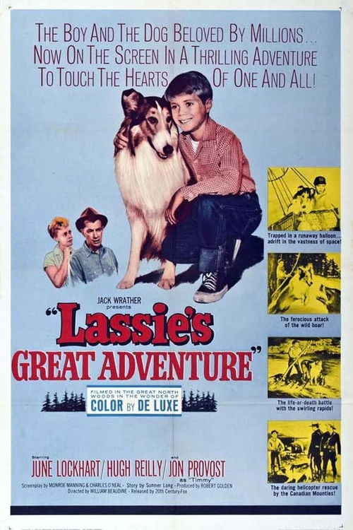 Lassie's Greatest Adventure (1963) poster