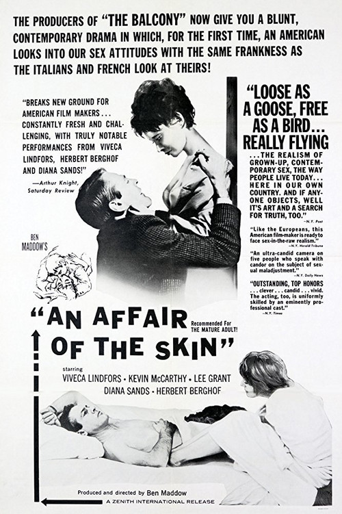 An Affair of the Skin (1963) poster