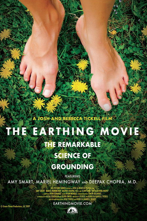 The Earthing Movie (2019) poster