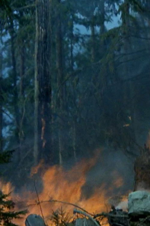 Small Smoke at Blaze Creek (1971) poster