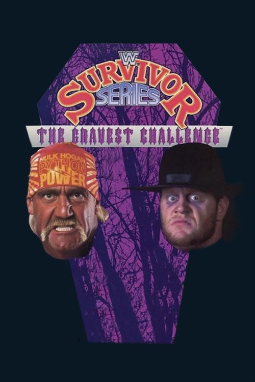 WWE Survivor Series 1991 (1991) poster