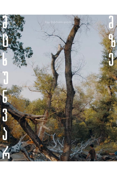 მცხუნვარე მზე (2023) poster