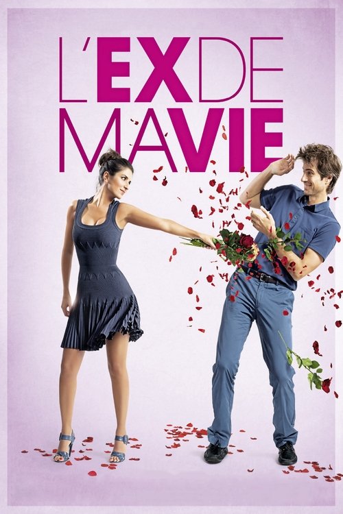 Divorce French Style (2014) poster